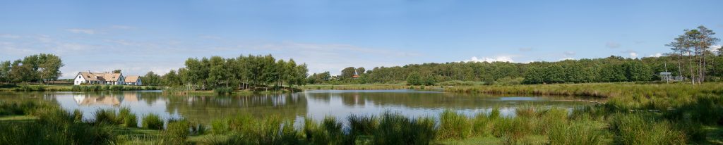 Pond Building