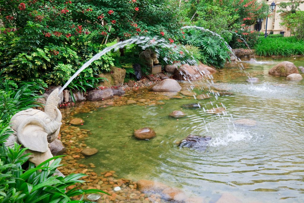 Pond-Building-Hutto