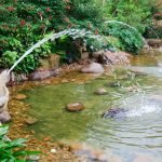 Pond-Building-Hutto